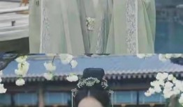 圈内人爆料宋茜,揭秘明星背后的真实故事