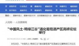 河南网红爆料新闻报道,揭秘当地新闻背后的故事